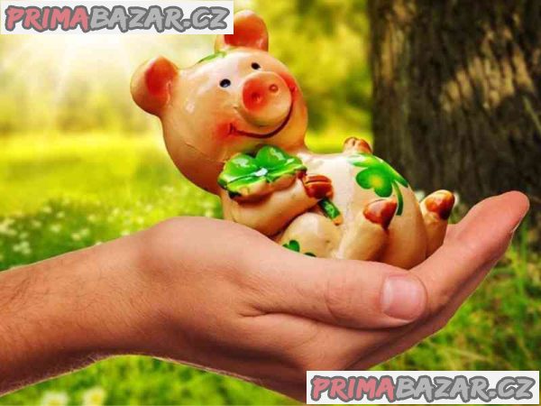 pozadejte-zde-o-vasi-zarucenou-financni-pomoc